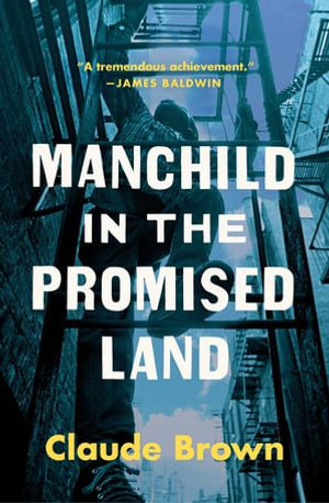 Manchild in the Promised Land - Claude Brown
