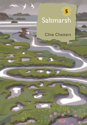 Saltmarsh : British Wildlife Collection - Clive Chatters