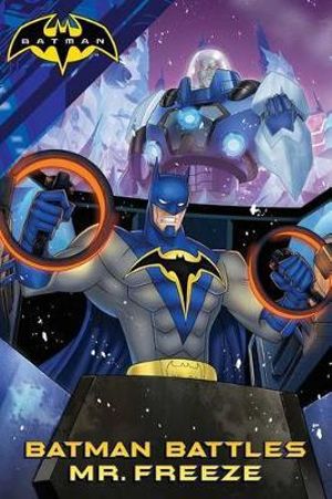 Batman Battles Mr. Freeze : Batman - Laurie S Sutton