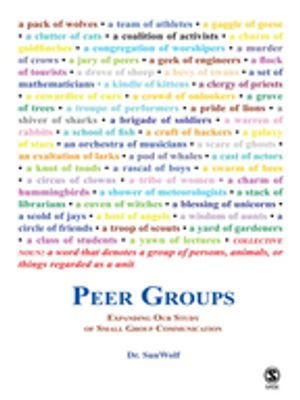 Peer Groups : Expanding Our Study of Small Group Communication - SunWolf