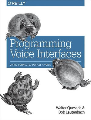 Programming Voice Interfaces - Walter Quesada