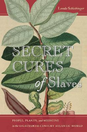 Secret Cures of Slaves : People, Plants, and Medicine in the Eighteenth-Century Atlantic World - Londa Schiebinger