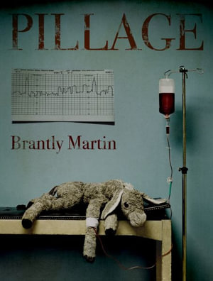 Pillage - Brantly Martin