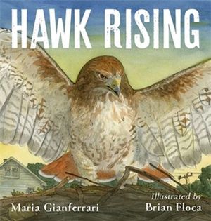 Hawk Rising - Maria Gianferrari