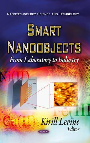 Smart Nano-Objects : From Laboratory to Industry - Kirill Levine