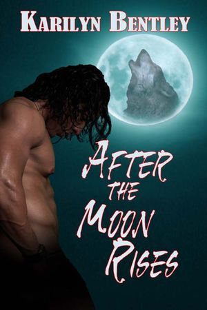 After the Moon Rises - Karilyn Bentley