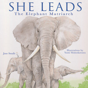 She Leads : The Elephant Matriarch - June Smalls