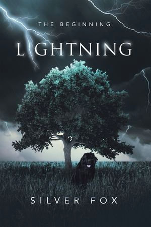 Lightning : The Beginning - Silver Fox