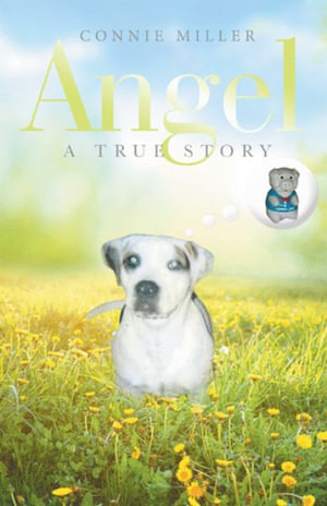 Angel : A True Story - Connie Miller