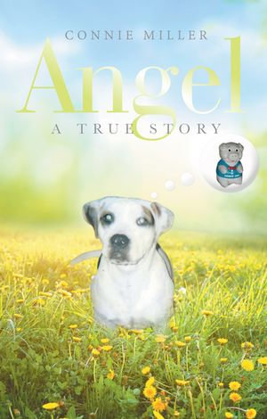 Angel : A True Story - Connie Miller