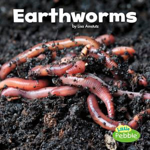 Earthworms : Little Critters - Lisa J. Amstutz