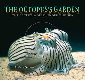 The Octopus's Garden : The Secret World Under the Sea : Wild Planet Series - Mark Norman