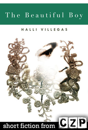 The Beautiful Boy : Short Story - Halli Villegas
