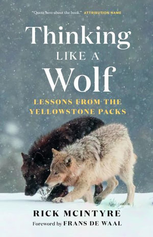 Thinking Like a Wolf : Lessons From the Yellowstone Packs - Rick McIntyre