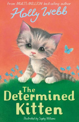 The Determined Kitten : Holly Webb: Animal Stories - Holly Webb