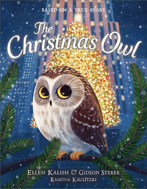 The Christmas Owl - Gideon Sterer