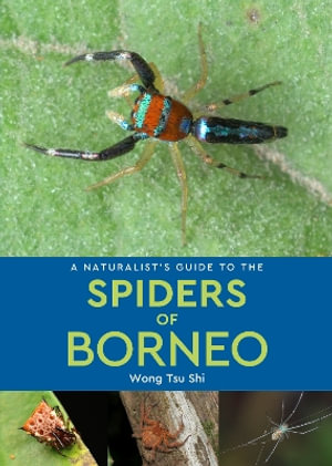 A Naturalist's Guide to the Spiders of Borneo : Naturalists' Guides - Wong Tsu Shi