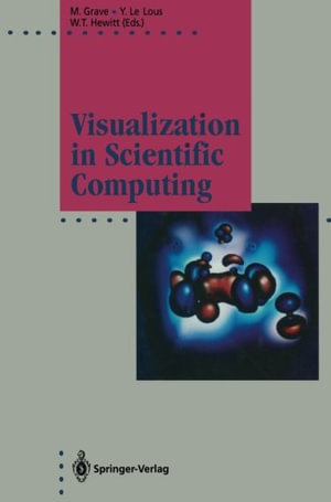 Visualization in Scientific Computing : Focus on Computer Graphics - Michel Grave