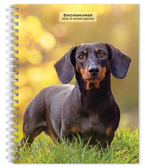 Dachshunds 2026 Engagement Diary - BrownTrout Publishers INC